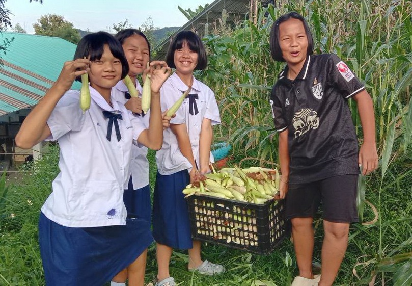 จากเมล็ดเล็ก ๆ สู่ผลผลิตแห่งความภูมิใจ &mdash; เด็ก ๆ ร่วมกันเก็บเกี่ยวข้าวโพดที่ปลูกและดูแลด้วยตนเอง